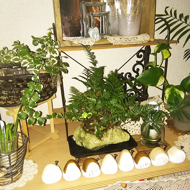 実例写真
