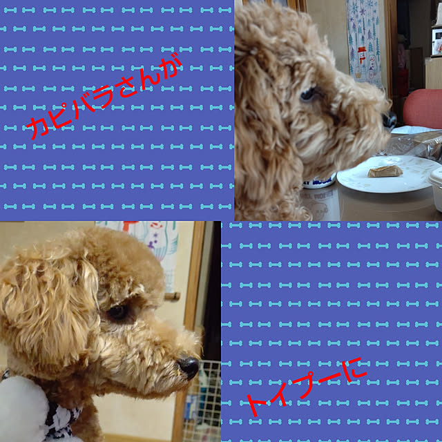 yumirinさんの実例写真