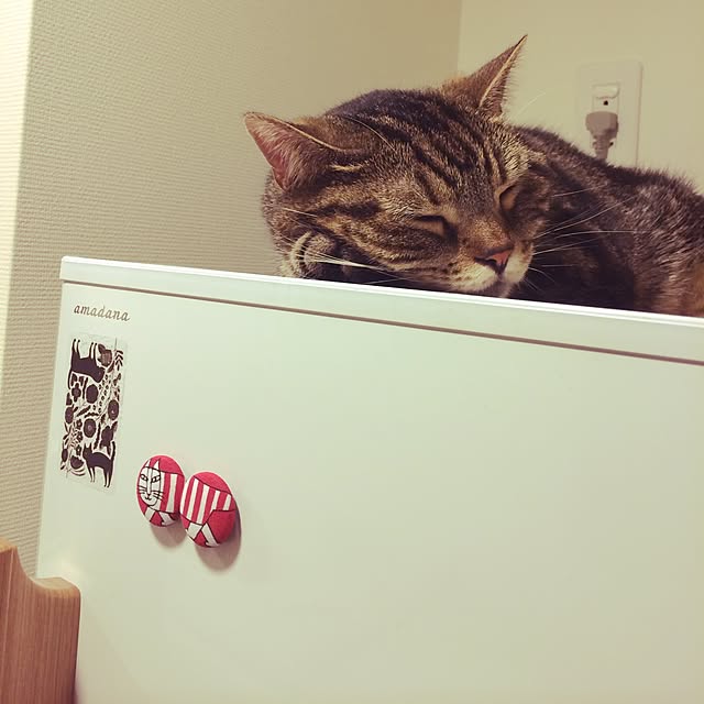 mikomaruさんの実例写真