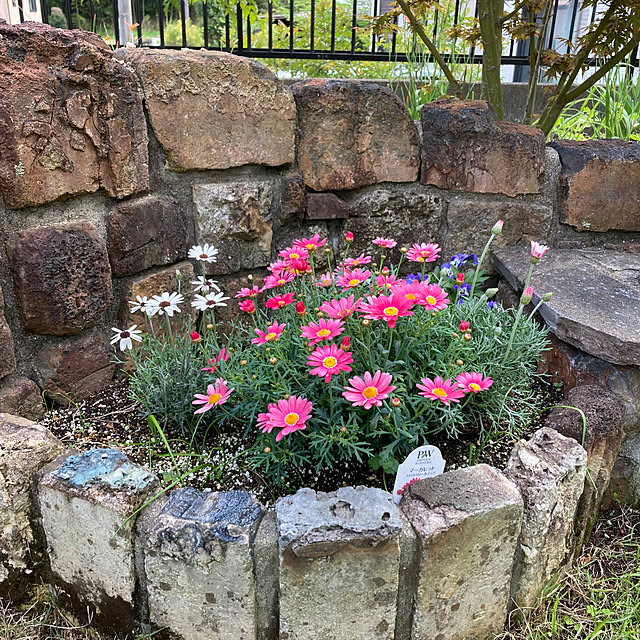 kirakirahoshiさんの部屋