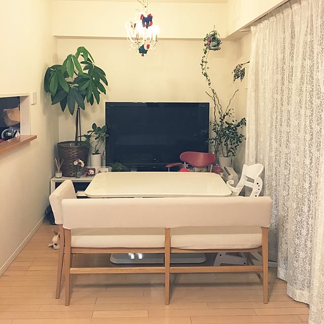 Ferriさんの実例写真