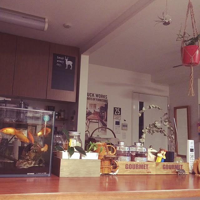 myk0205さんの実例写真