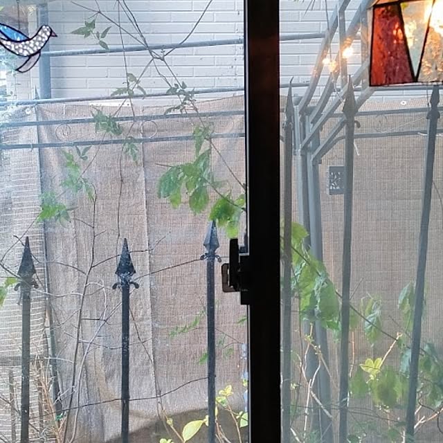 mori_6_12さんの実例写真