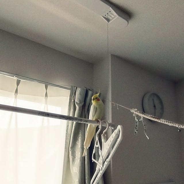 toratanさんの部屋