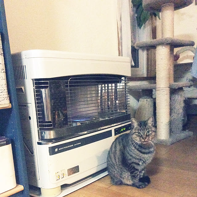 momokiriさんの実例写真