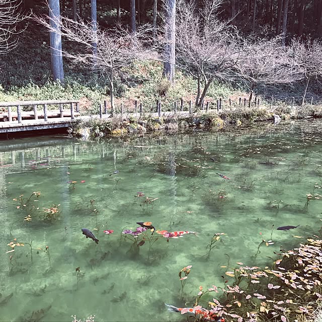 calmsweetsweetさんの実例写真