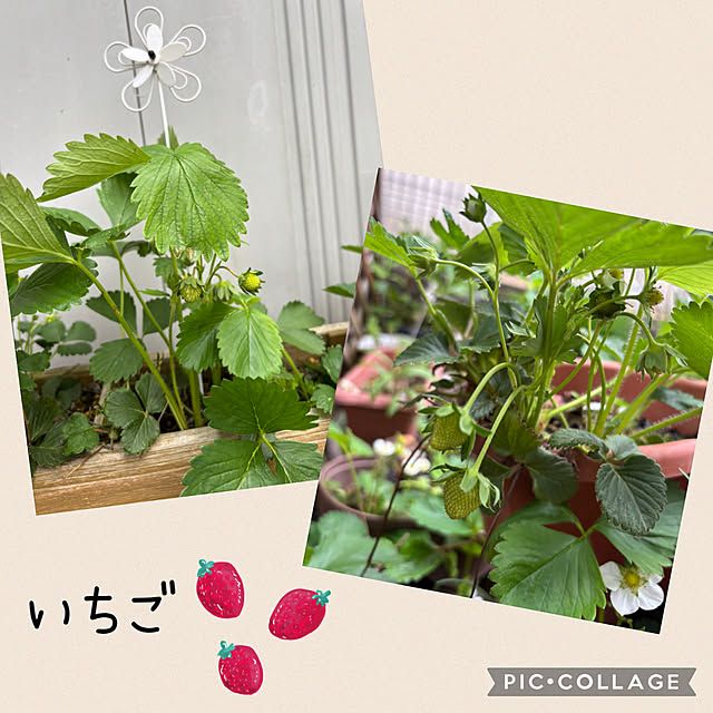 CoCo0617さんの部屋