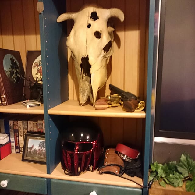 cowboy217さんの実例写真