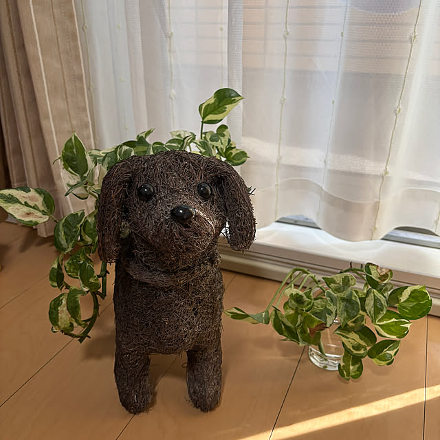 pinomiさんの実例写真