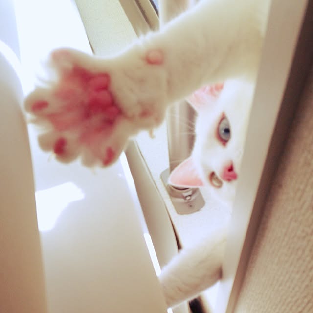 kaoさんの実例写真