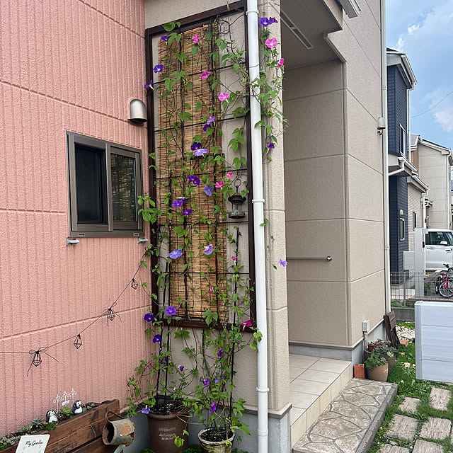 pekoさんの実例写真