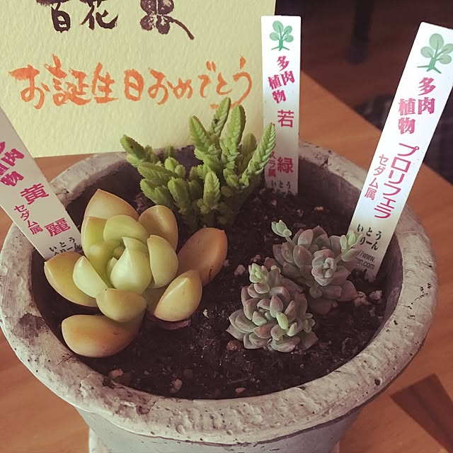 e-mo2さんの実例写真