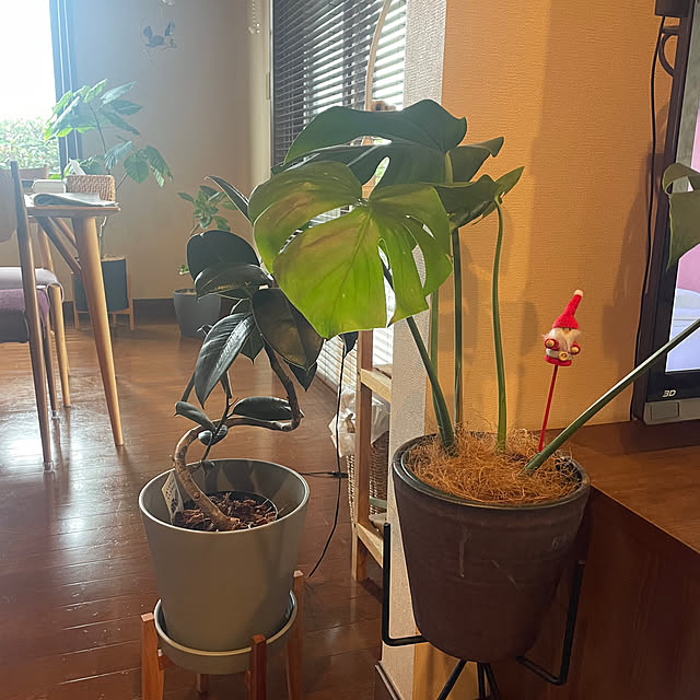 umomさんの実例写真