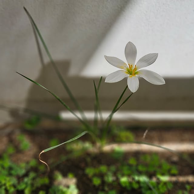 koyurizuさんの部屋