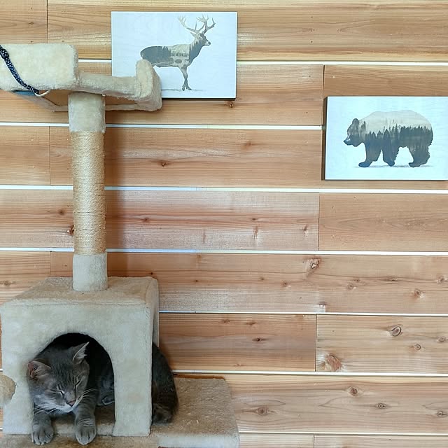 jurien_pさんの実例写真