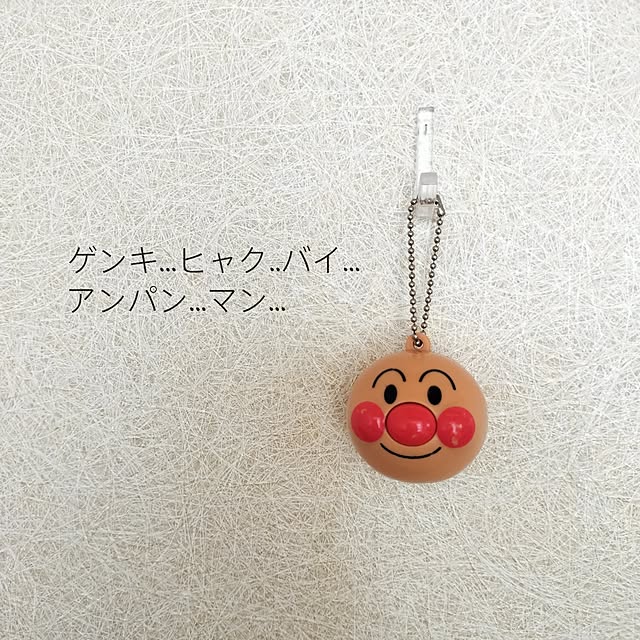 pecoさんの部屋