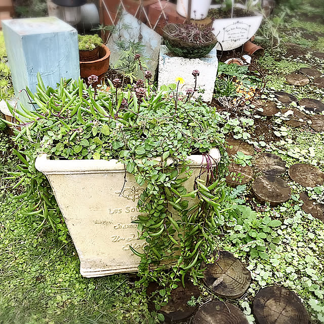 kokko3さんの実例写真