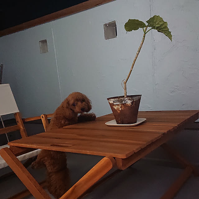 mommyさんの実例写真