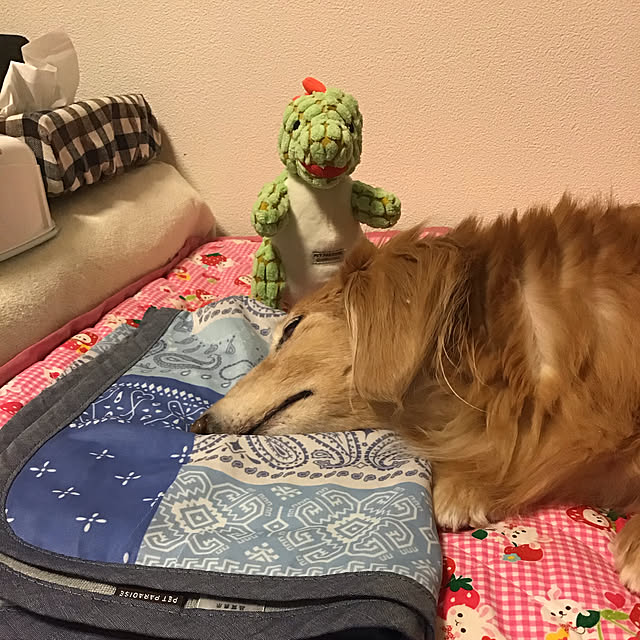 hanamimiさんの実例写真