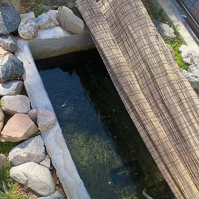 kotaroさんの部屋