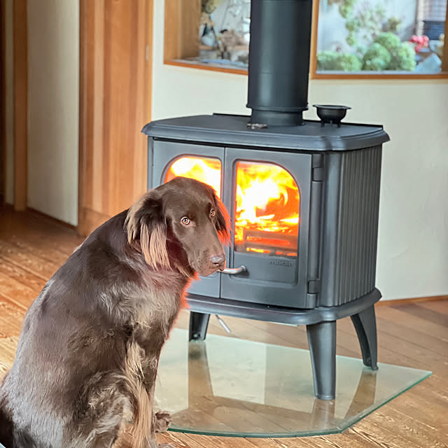 Kikko.さんの実例写真