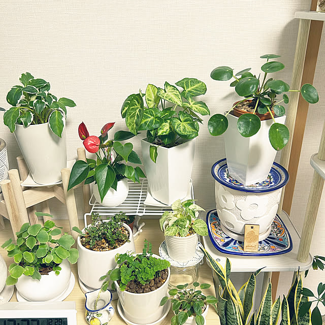 yoyoyoさんの部屋