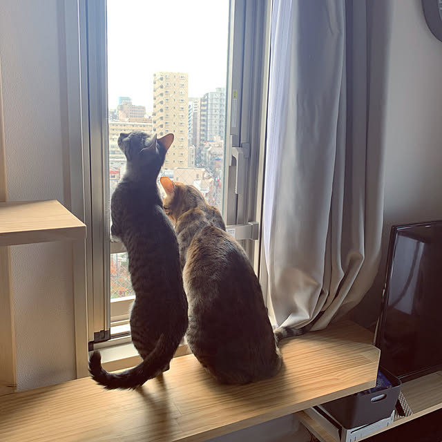 konashanさんの実例写真