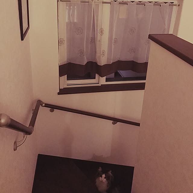zaki_yuさんの実例写真