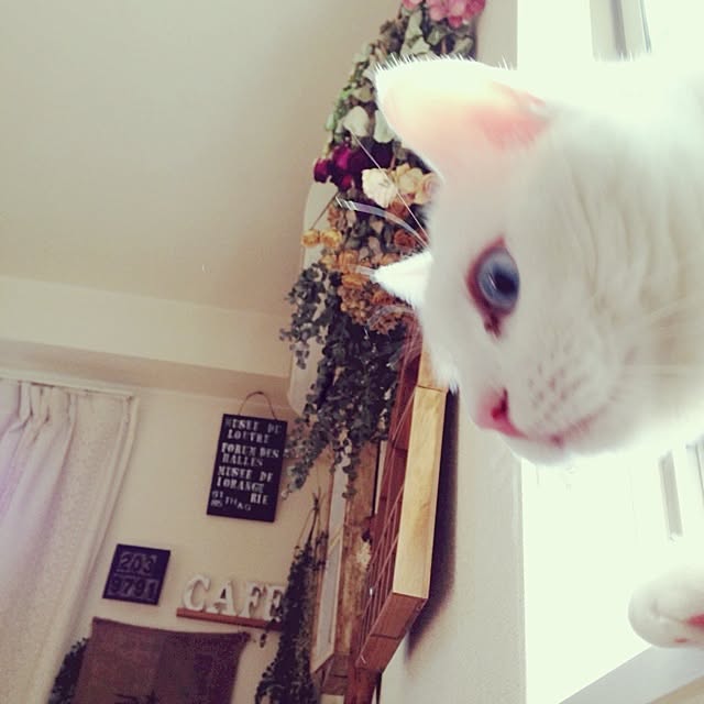 kaoさんの実例写真