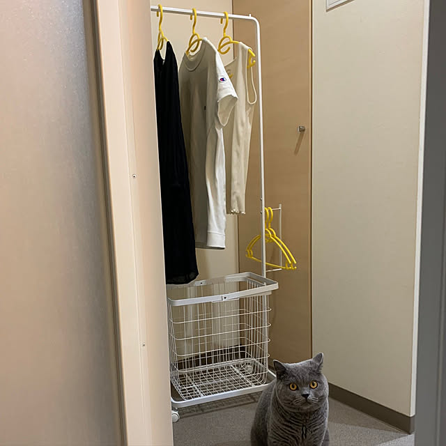 kittyさんの実例写真