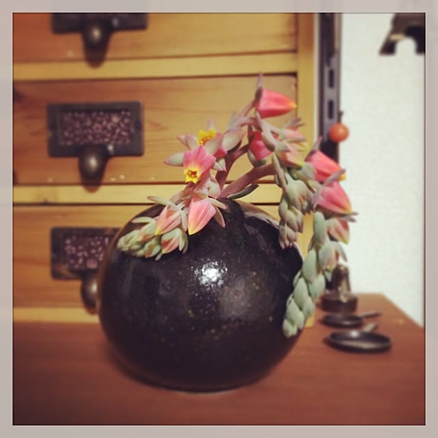 tamaharuさんの実例写真
