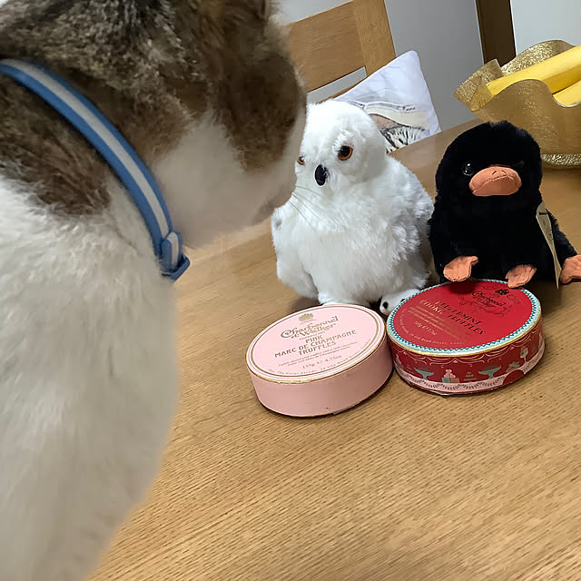 haruminさんの部屋