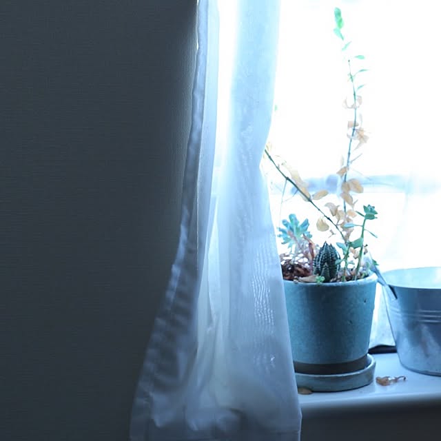 Megさんの実例写真