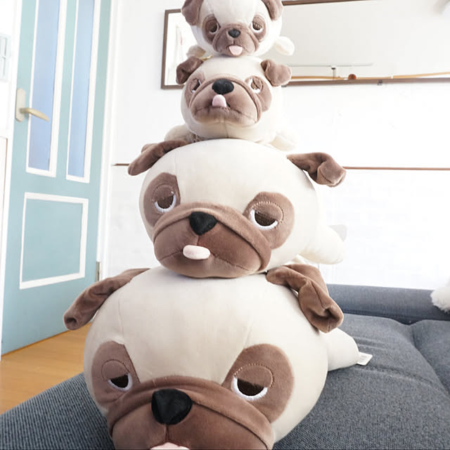 Suさんの実例写真