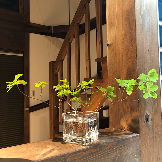shinriさんの実例写真