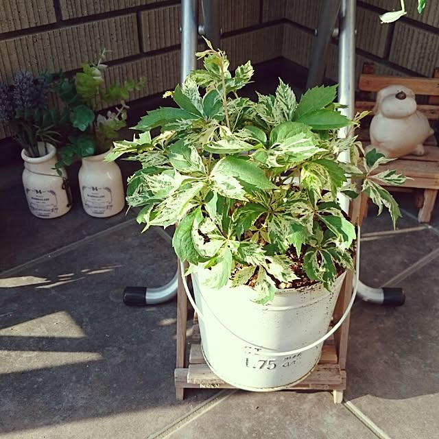 cherryさんの実例写真