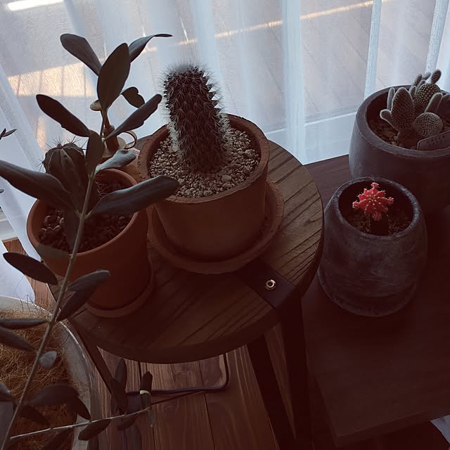 marchiさんの実例写真