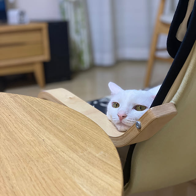 belliesさんの実例写真
