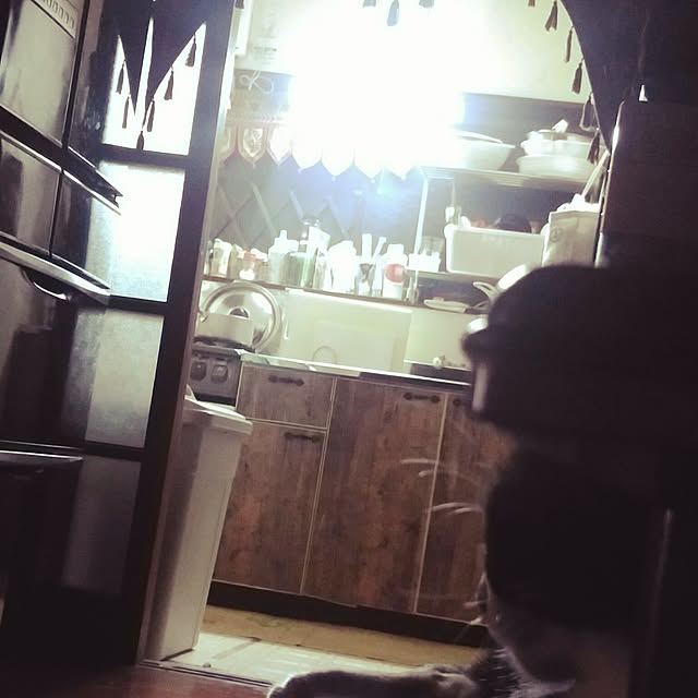 catLoverさんの実例写真