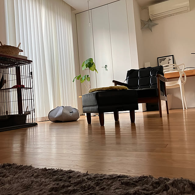 KOHAREさんの実例写真