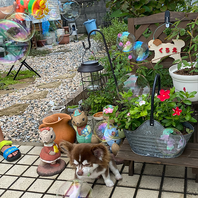 chIoeさんの実例写真