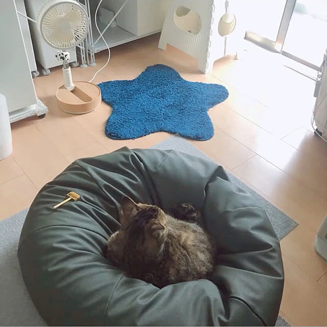 Emiさんの実例写真
