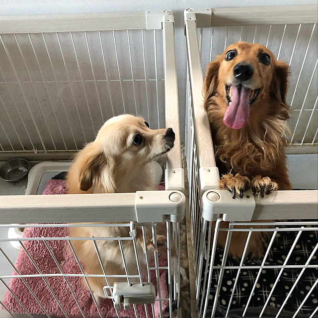 Nishiaiさんの実例写真