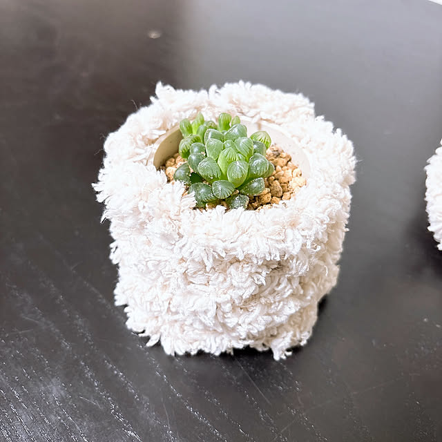 y.frvr.ks-lvyuiさんの部屋