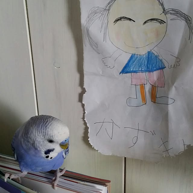 karinさんの実例写真