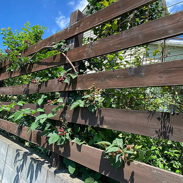 misacoさんの部屋