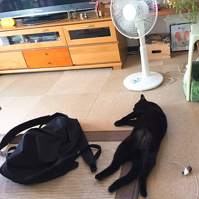 nanaさんの実例写真