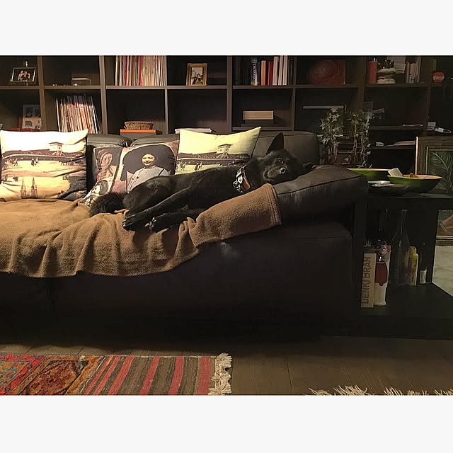 rikorikoさんの実例写真