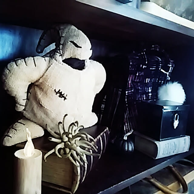 spinetailさんの実例写真