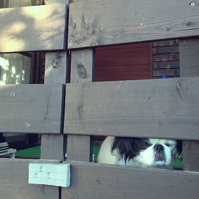 nyamnyamさんの実例写真